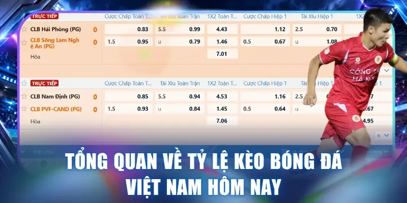 Tổng quan về tỷ lệ kèo bóng đá Việt Nam hôm nay